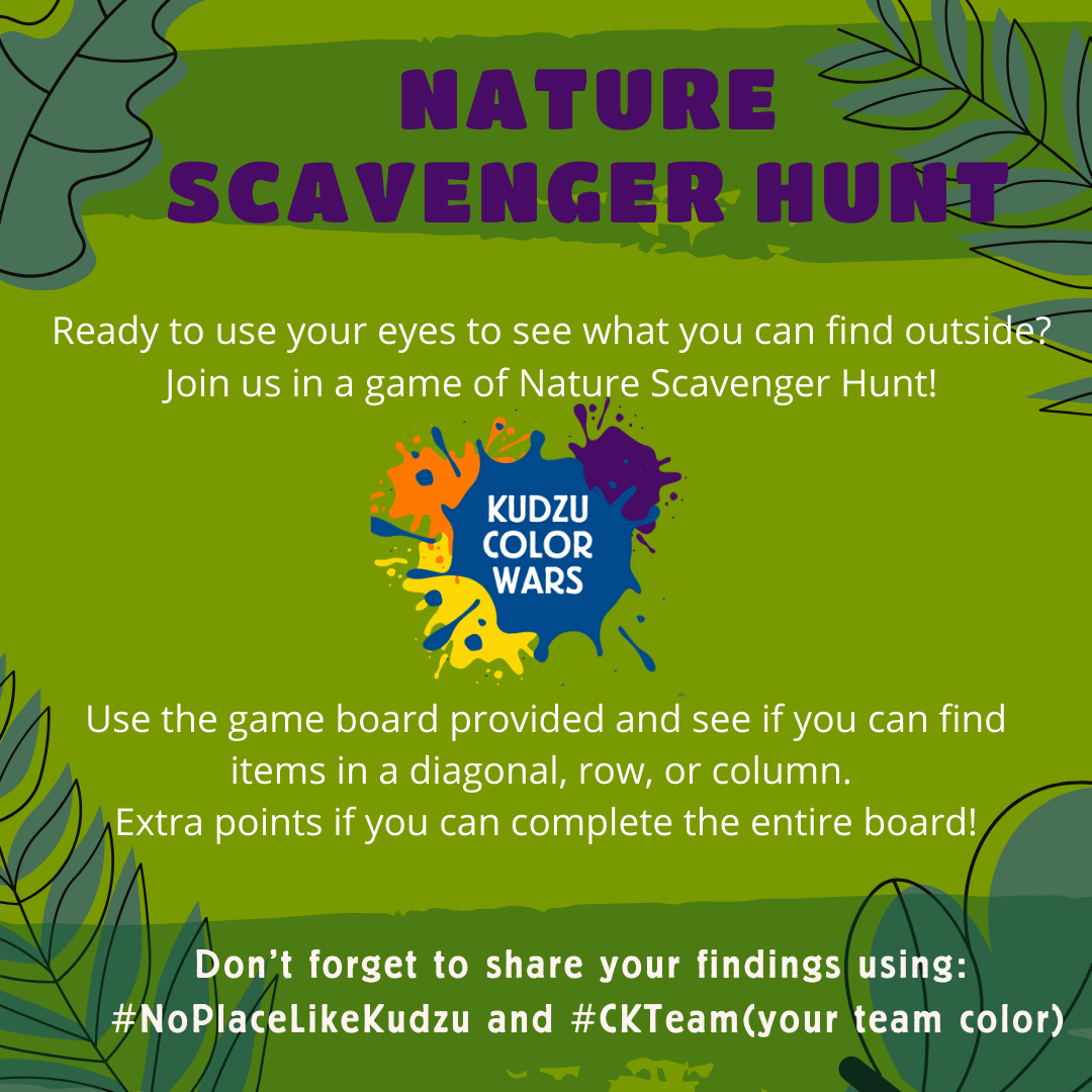 nature-scavenger-hunt-camp-kudzu